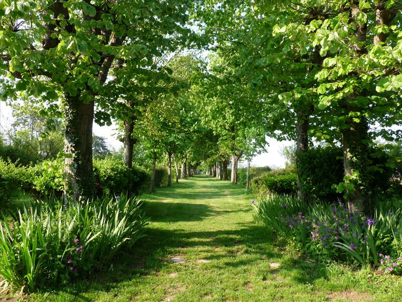 Domaine de la Gravette_79360 BEAUVOIR SUR NIORT_16 Domaine de la Gravette_79360 BEAUVOIR SUR NIORT_16